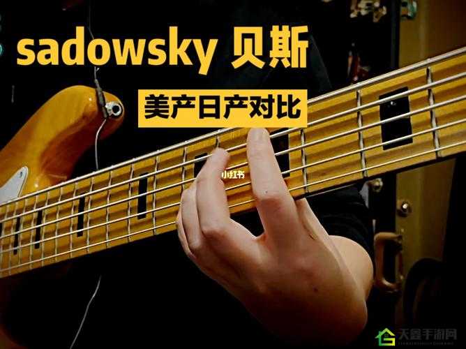 sadowsky 日产和美产差别