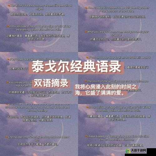 my19777 换哪了：一个引人深思的话题