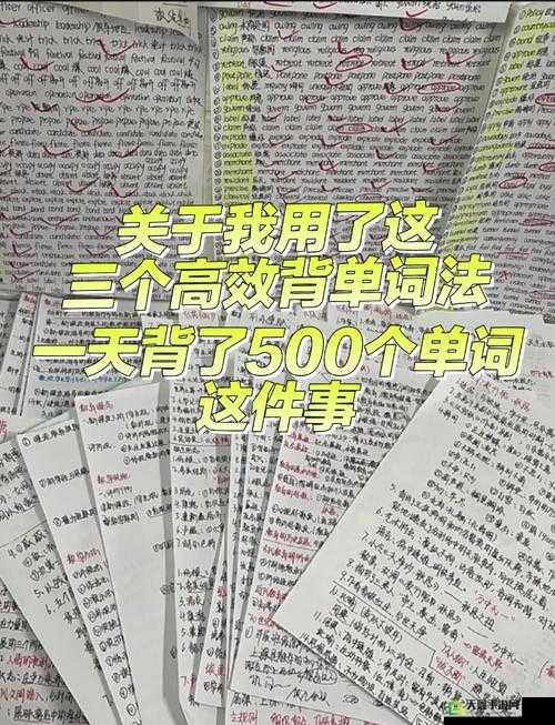 坐在学霸的鸡上背单词作者的高效背单词法