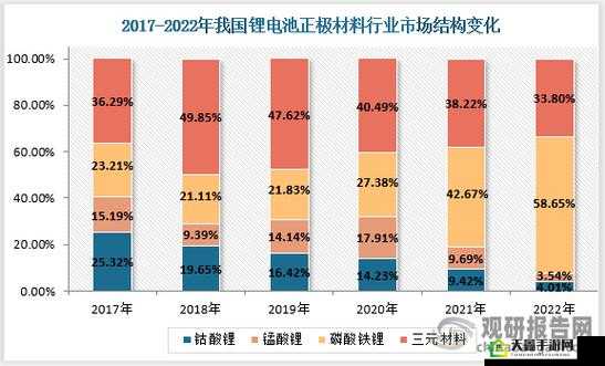 丰年经继拇 3 的机能量发展：未来发展方向