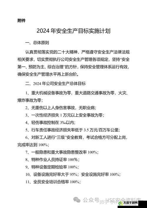 满 18 点此安全转入 2024 实施：安全过渡的关键步骤