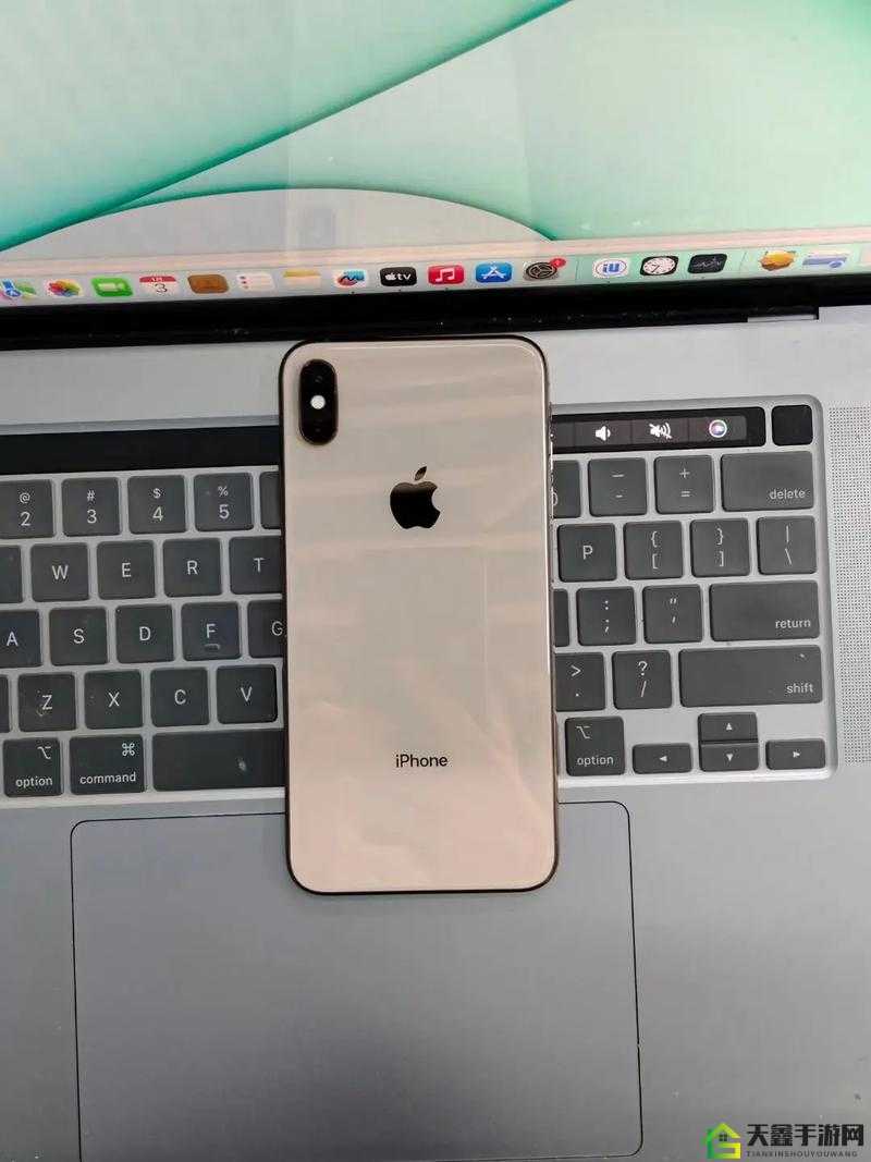 欧美 iPhone XS Max 手机使用教程