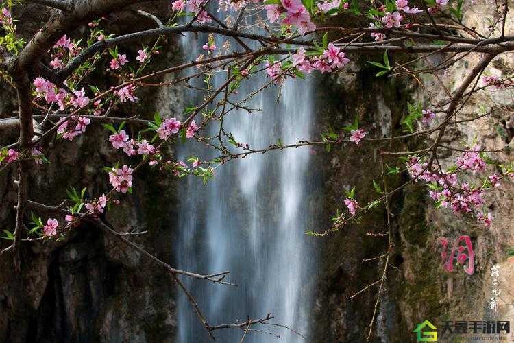 桃花洞口已是溪水潺潺：春景迷人处