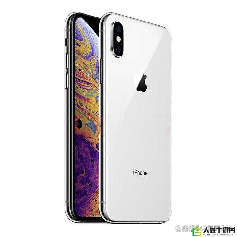 战术指导：探索欧美 iPhone XS Max 视频全解析